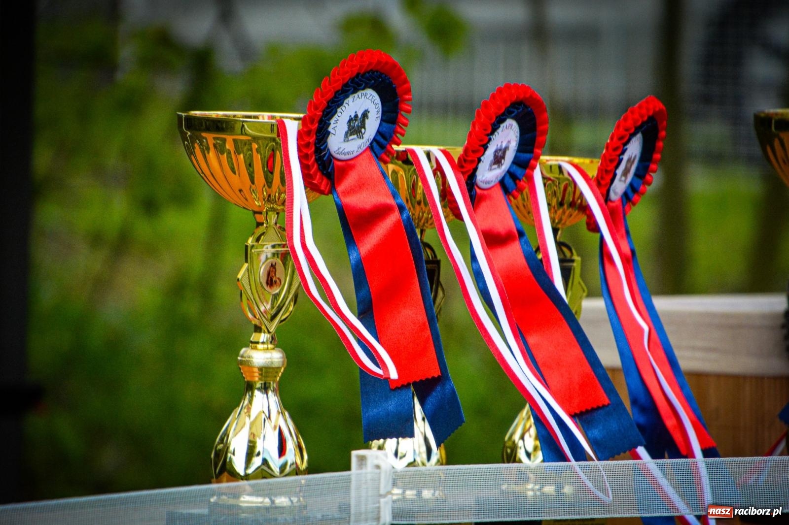 Zdjęcie w galerii na portalu naszraciborz.pl: Łubowice: tradycja i jeździectwo w jednym wydarzeniu [FOTO i WIDEO] wiadomości z regionu