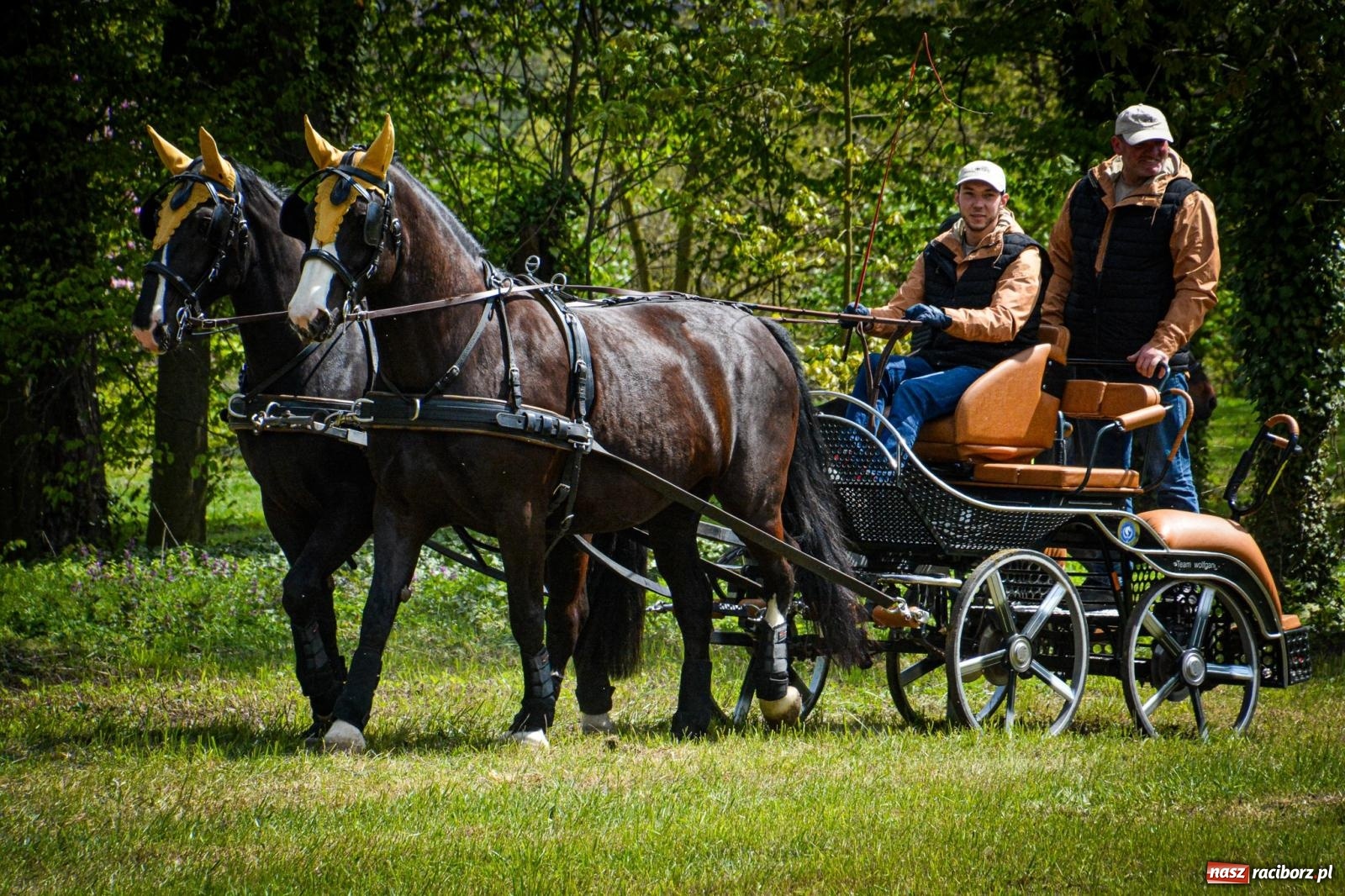 Zdjęcie w galerii na portalu naszraciborz.pl: Łubowice: tradycja i jeździectwo w jednym wydarzeniu [FOTO i WIDEO] wiadomości z regionu
