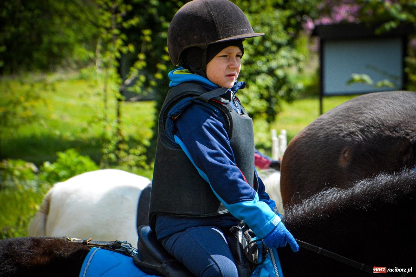 Zdjęcie w galerii na portalu naszraciborz.pl: Łubowice: tradycja i jeździectwo w jednym wydarzeniu [FOTO i WIDEO] wiadomości z regionu