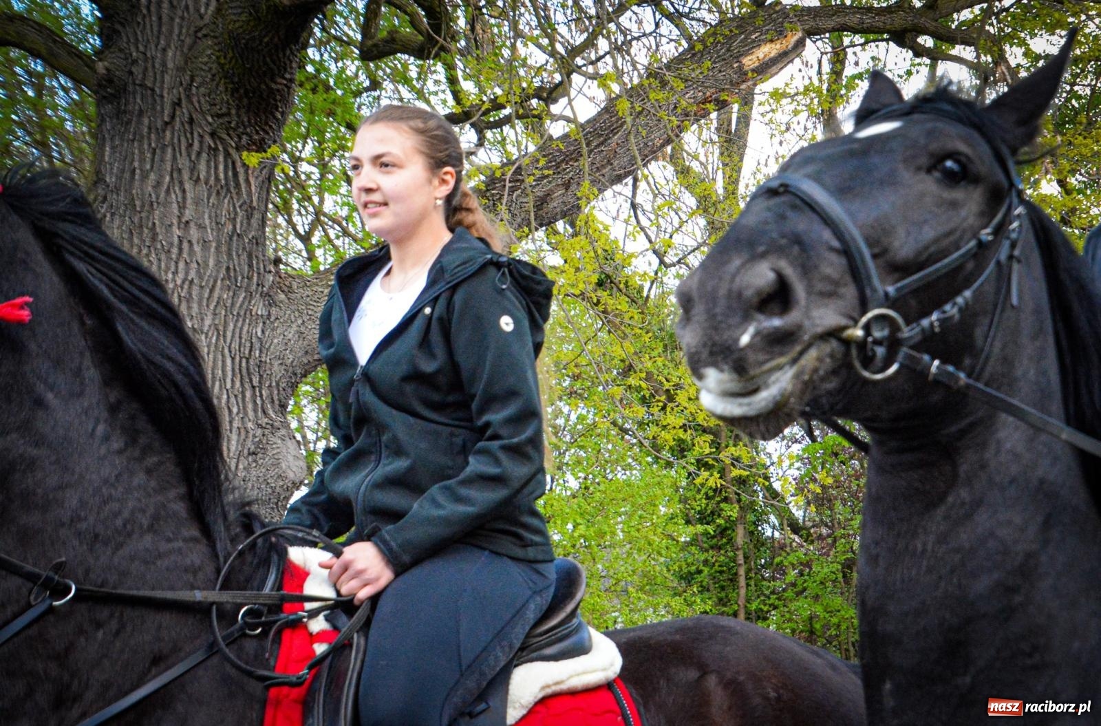 Zdjęcie w galerii na portalu naszraciborz.pl: Łubowice: tradycja i jeździectwo w jednym wydarzeniu [FOTO i WIDEO] wiadomości z regionu