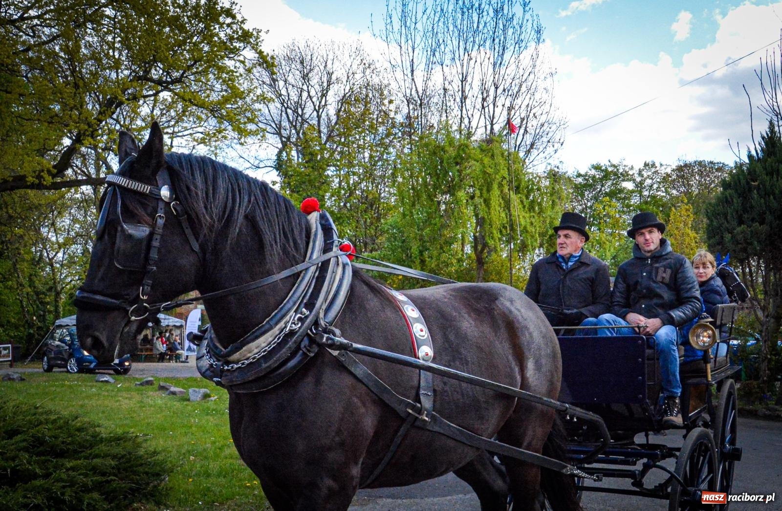 Zdjęcie w galerii na portalu naszraciborz.pl: Łubowice: tradycja i jeździectwo w jednym wydarzeniu [FOTO i WIDEO] wiadomości z regionu
