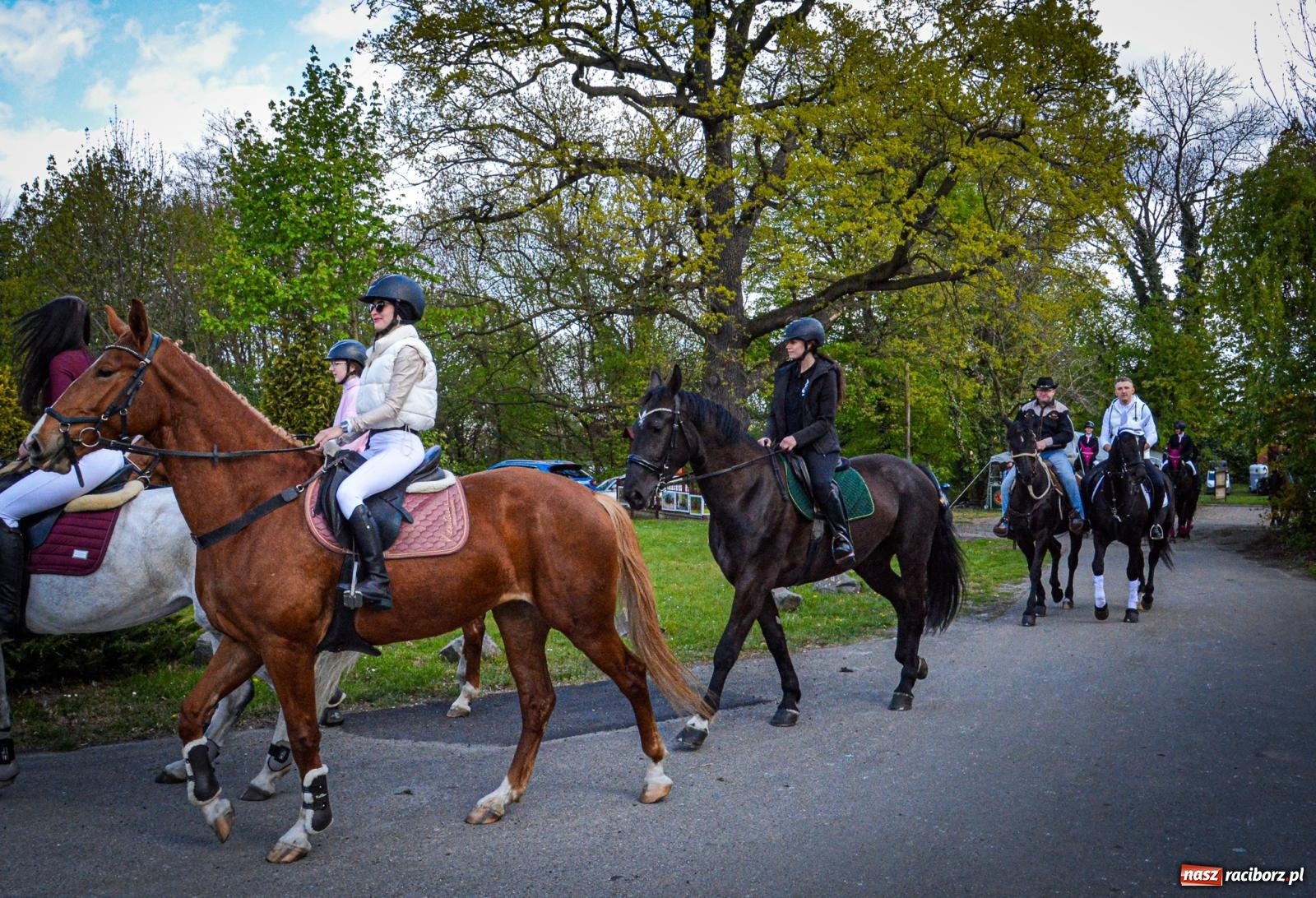Zdjęcie w galerii na portalu naszraciborz.pl: Łubowice: tradycja i jeździectwo w jednym wydarzeniu [FOTO i WIDEO] wiadomości z regionu