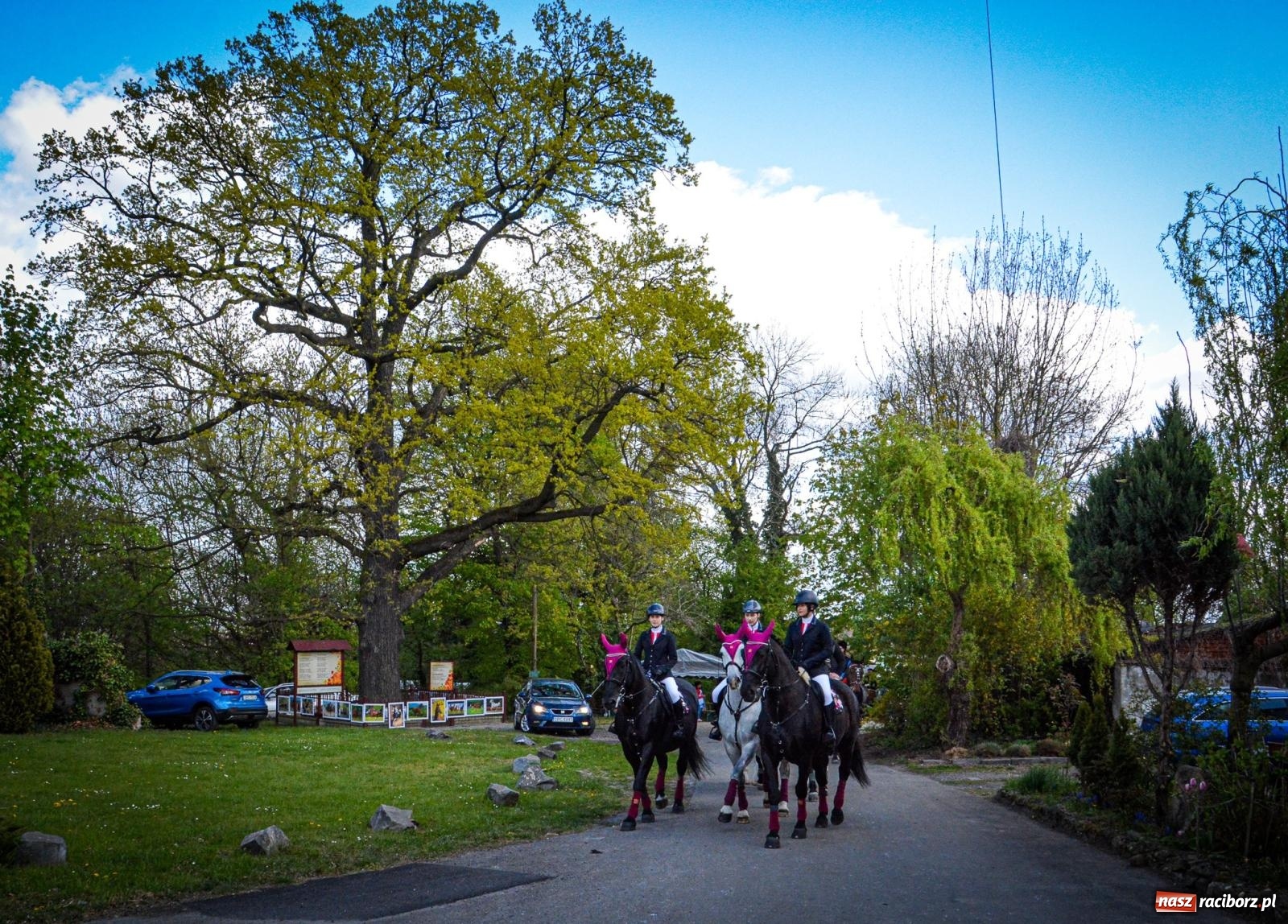 Zdjęcie w galerii na portalu naszraciborz.pl: Łubowice: tradycja i jeździectwo w jednym wydarzeniu [FOTO i WIDEO] wiadomości z regionu