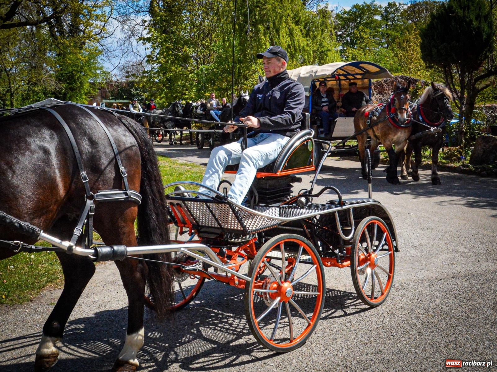 Zdjęcie w galerii na portalu naszraciborz.pl: Łubowice: tradycja i jeździectwo w jednym wydarzeniu [FOTO i WIDEO] wiadomości z regionu