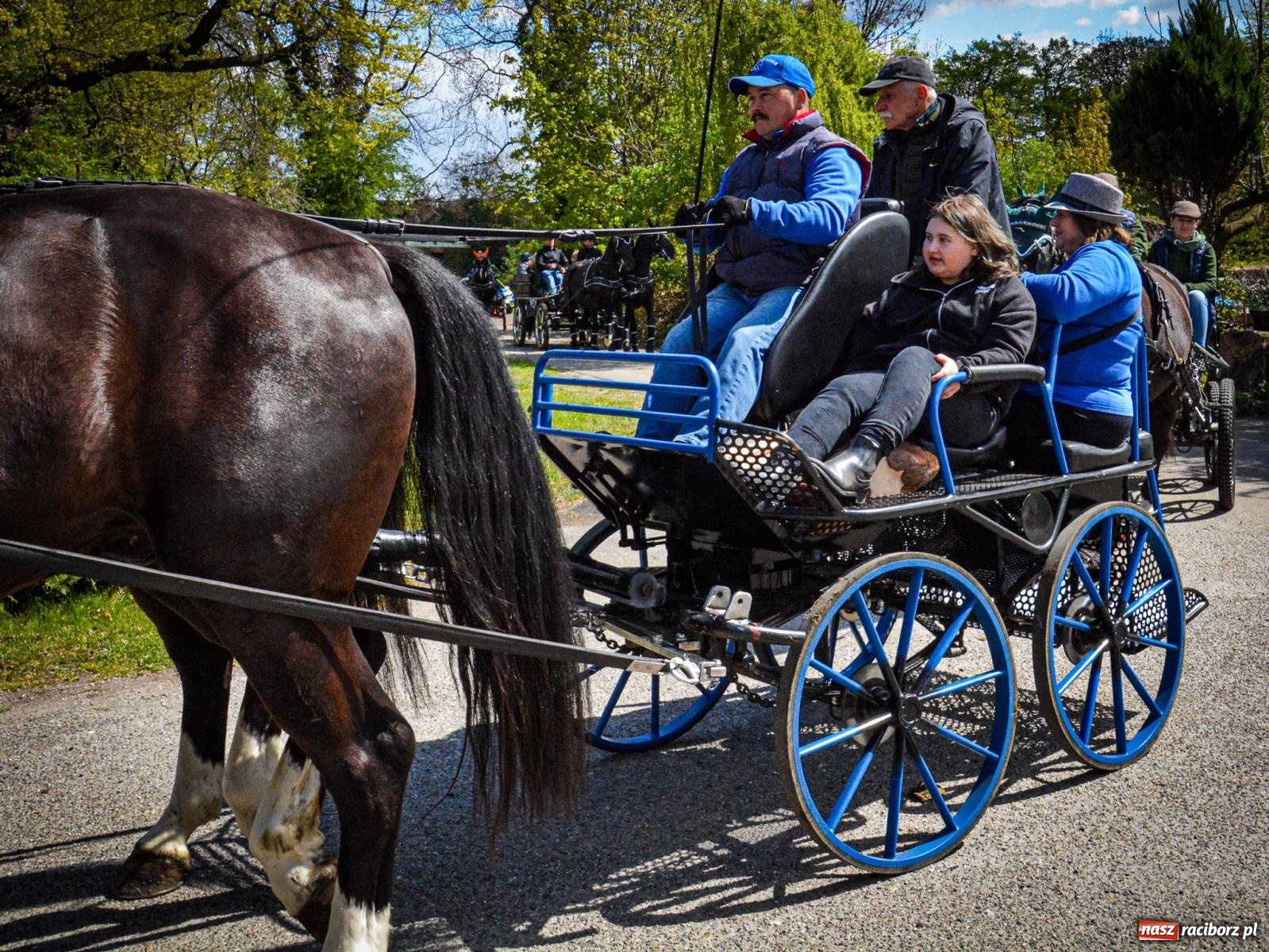 Zdjęcie w galerii na portalu naszraciborz.pl: Łubowice: tradycja i jeździectwo w jednym wydarzeniu [FOTO i WIDEO] wiadomości z regionu