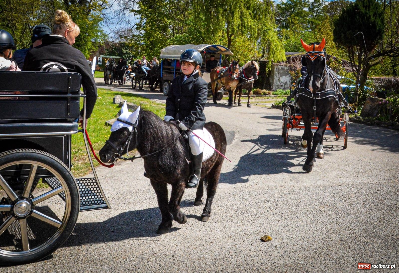 Zdjęcie w galerii na portalu naszraciborz.pl: Łubowice: tradycja i jeździectwo w jednym wydarzeniu [FOTO i WIDEO] wiadomości z regionu