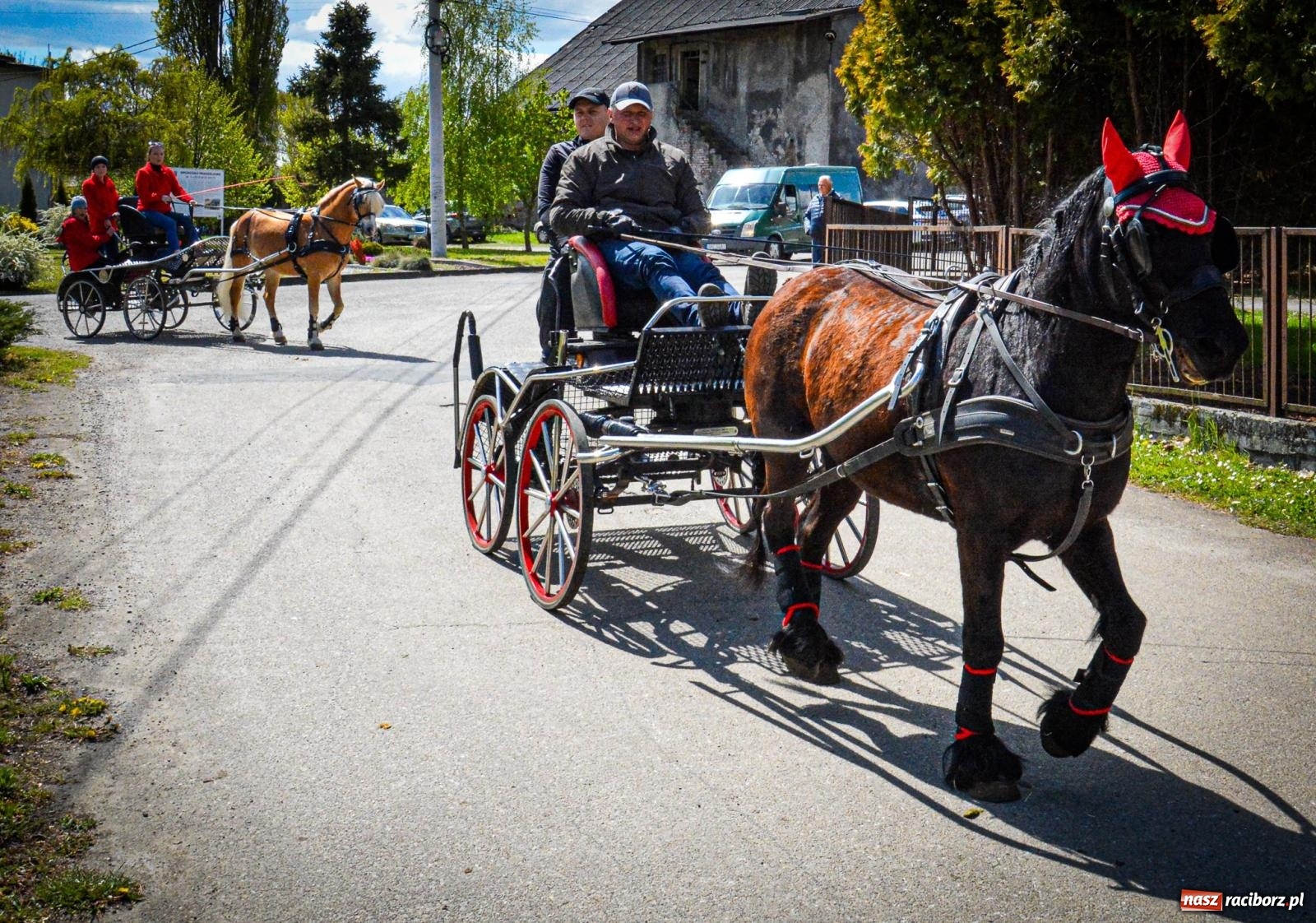 Zdjęcie w galerii na portalu naszraciborz.pl: Łubowice: tradycja i jeździectwo w jednym wydarzeniu [FOTO i WIDEO] wiadomości z regionu