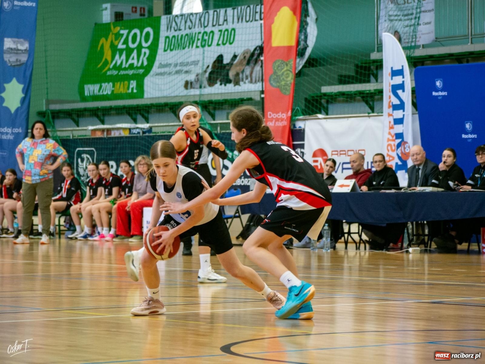 Zdjęcie w galerii na portalu naszraciborz.pl: MiniBasketball Racibórz w finale Mistrzostw Polski [FOTO] wiadomości z regionu