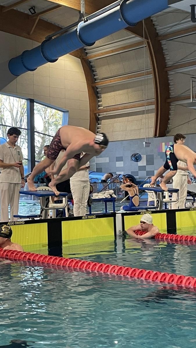 Zdjęcie w galerii na portalu naszraciborz.pl: Puchar Polski Masters: Racibórz z workiem medali. Świetny start Victorii w Katowicach wiadomości z regionu