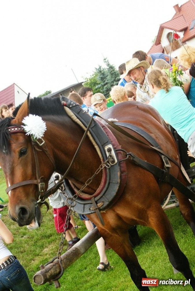 Zdjęcie w galerii na portalu naszraciborz.pl: VIII Festyn Rodzinny w Studziennej wiadomości z regionu