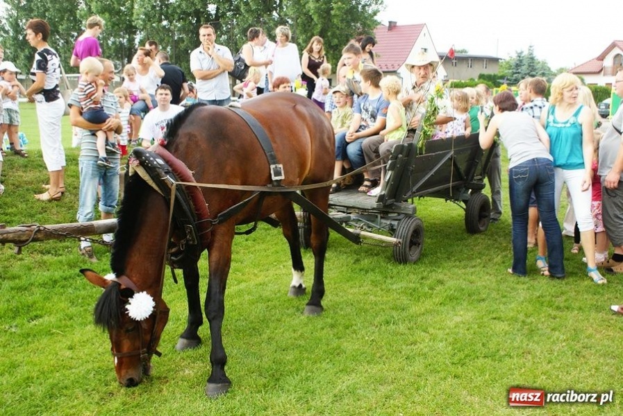 Zdjęcie w galerii na portalu naszraciborz.pl: VIII Festyn Rodzinny w Studziennej wiadomości z regionu