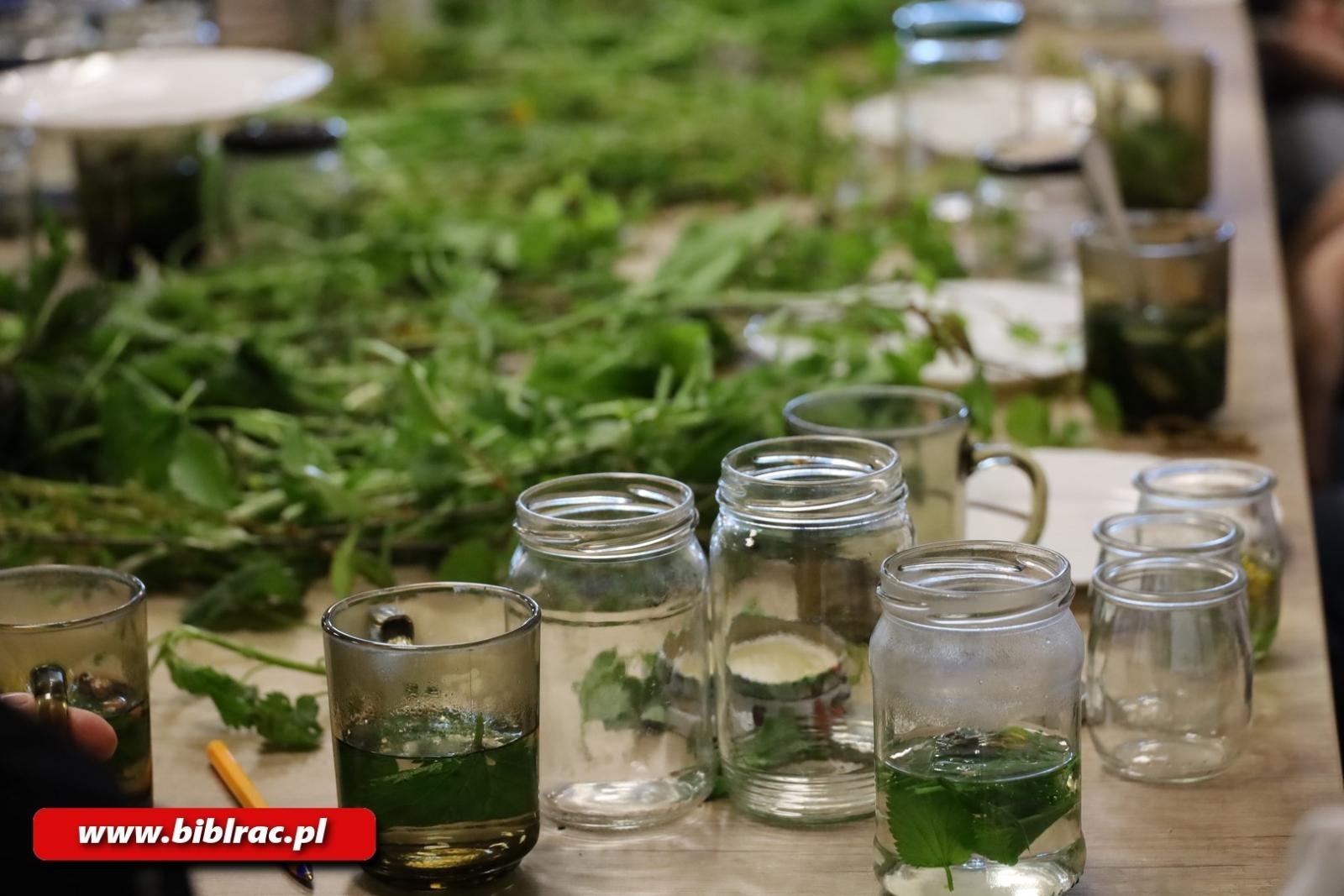 Zdjęcie w galerii na portalu naszraciborz.pl: Wiosenna odnowa - warsztaty zielarskie w bibliotece wiadomości z regionu