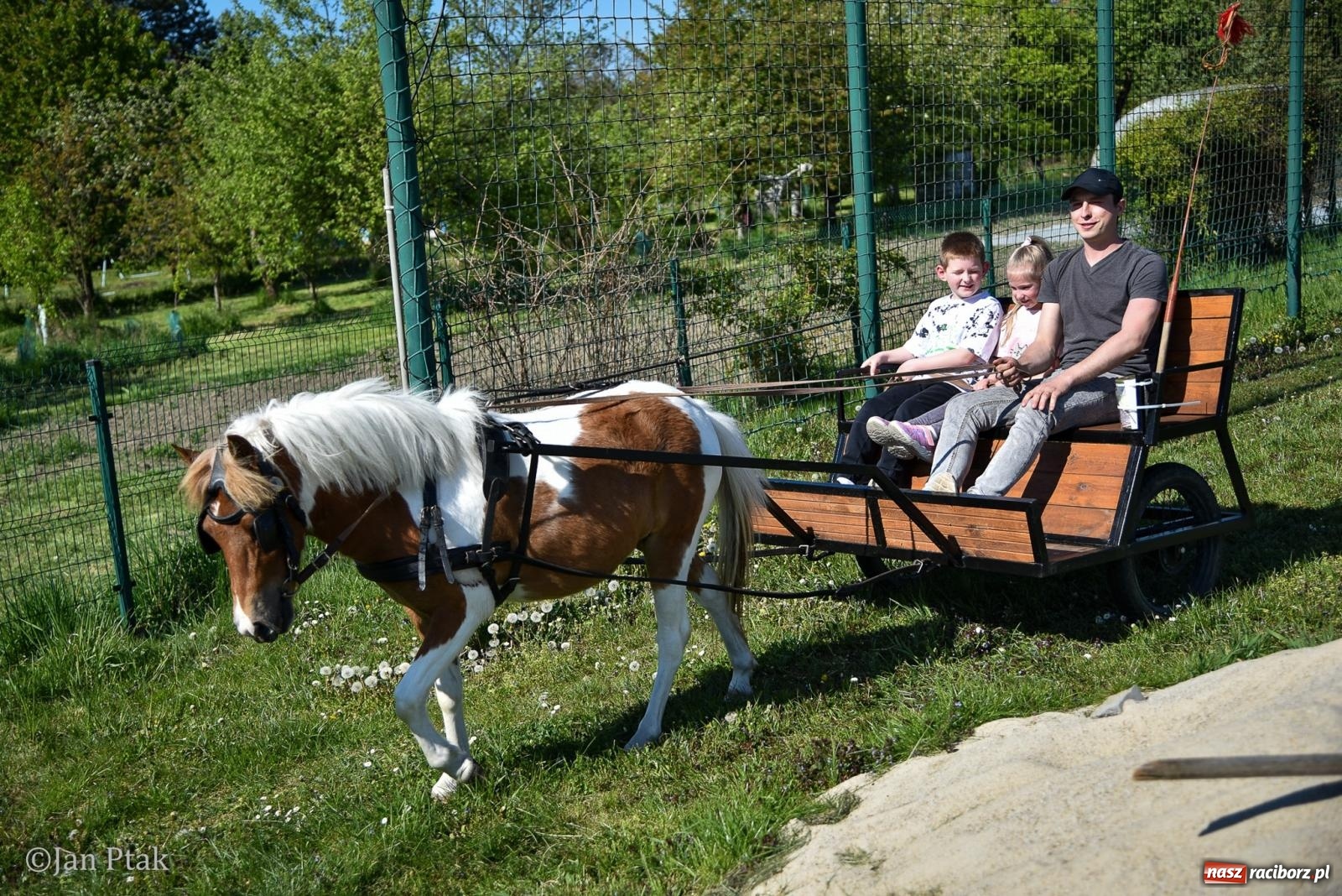 Zdjęcie w galerii na portalu naszraciborz.pl: Mecz charytatywny Gramy dla Adriana w Brzeziu. Dla druha miejscowego OSP zebrano ponad 146 tys. zł wiadomości z regionu