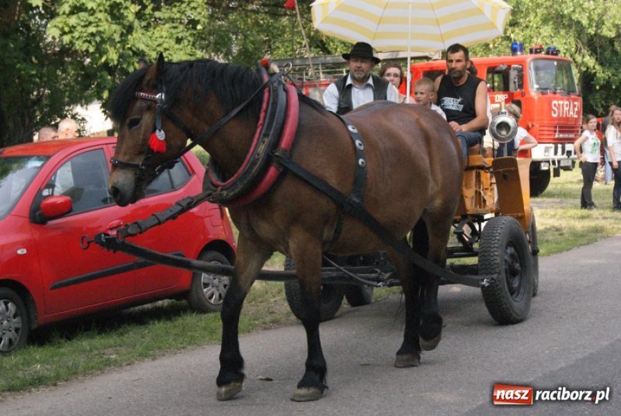 Zdjęcie w galerii na portalu naszraciborz.pl: W Modzurowie grali dla Paulinki wiadomości z regionu