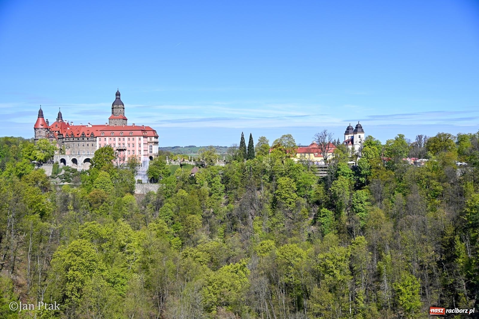 Zdjęcie w galerii na portalu naszraciborz.pl: TAURON Festiwal Kwiatów i Sztuki w Zamku Książ – Odyseja czasu wiadomości z regionu