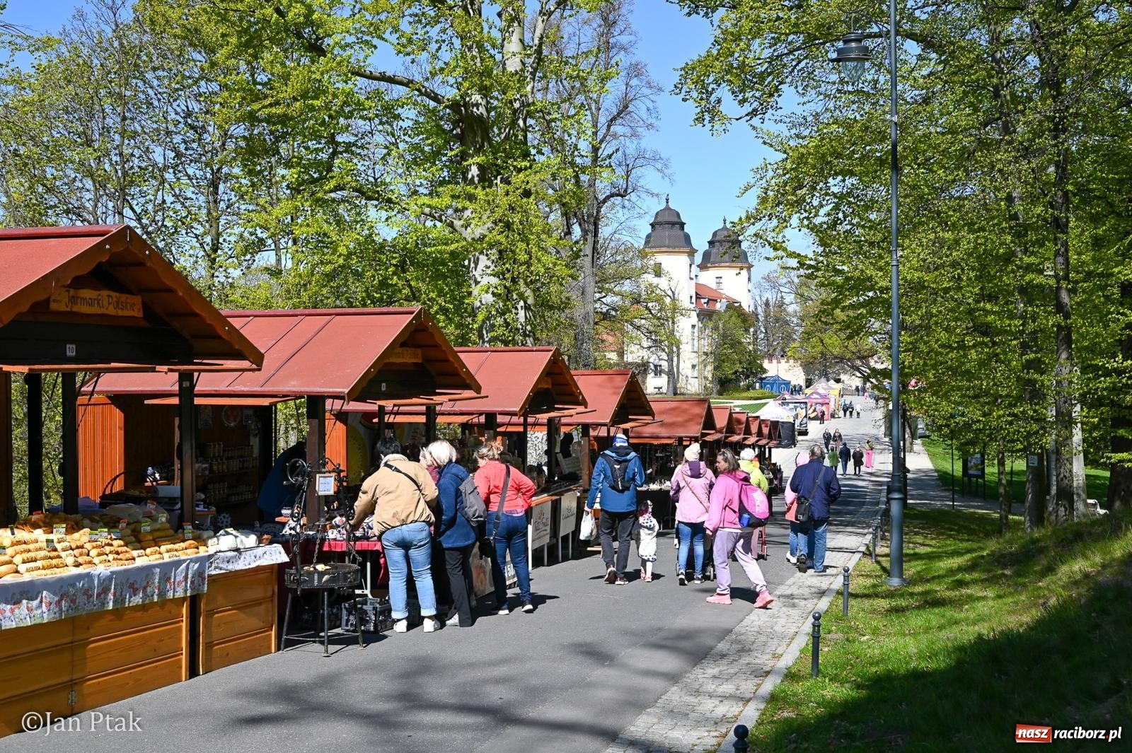 Zdjęcie w galerii na portalu naszraciborz.pl: TAURON Festiwal Kwiatów i Sztuki w Zamku Książ – Odyseja czasu wiadomości z regionu