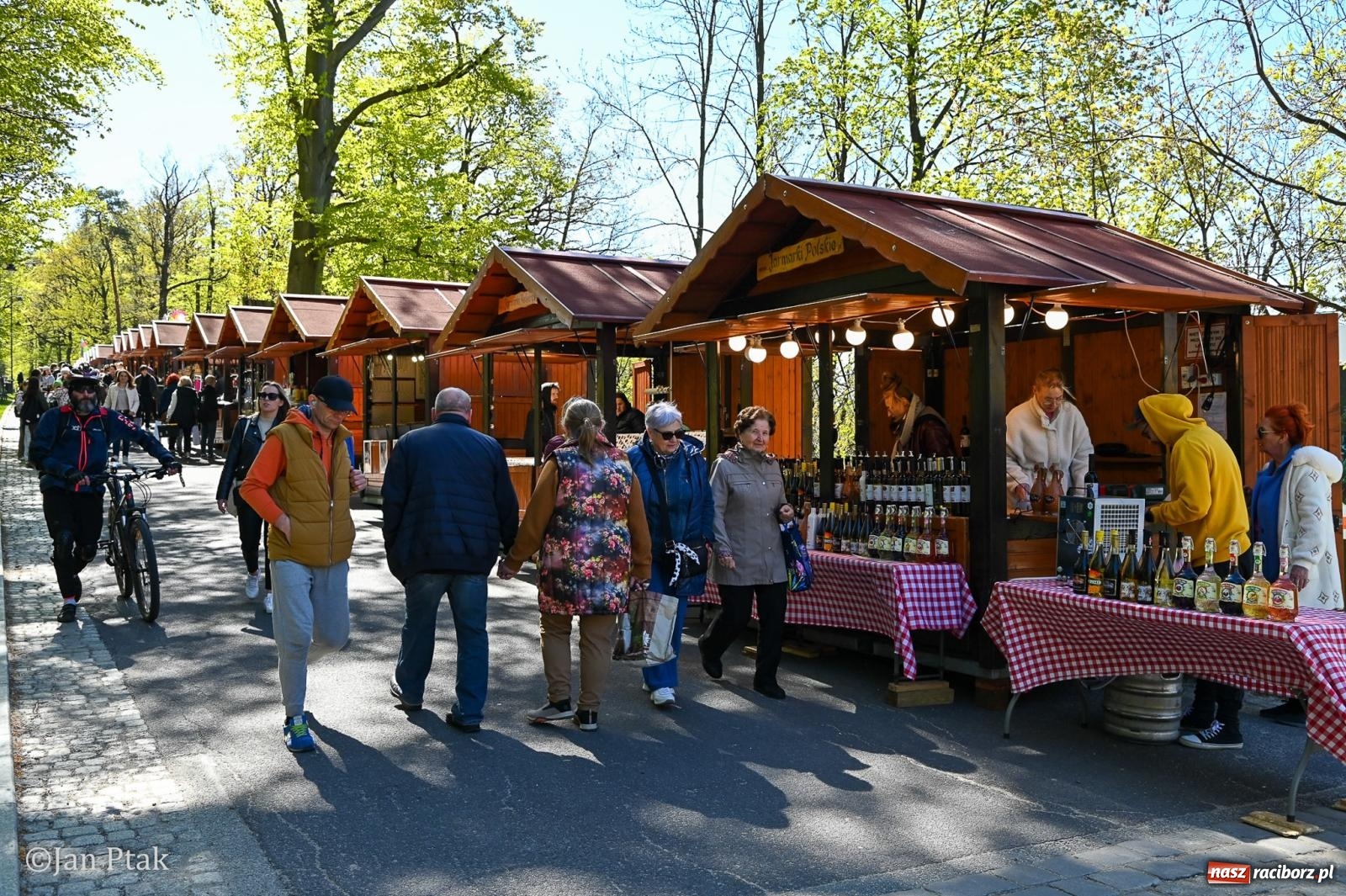 Zdjęcie w galerii na portalu naszraciborz.pl: TAURON Festiwal Kwiatów i Sztuki w Zamku Książ – Odyseja czasu wiadomości z regionu