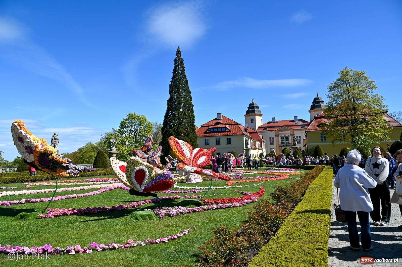 Zdjęcie w galerii na portalu naszraciborz.pl: TAURON Festiwal Kwiatów i Sztuki w Zamku Książ – Odyseja czasu wiadomości z regionu