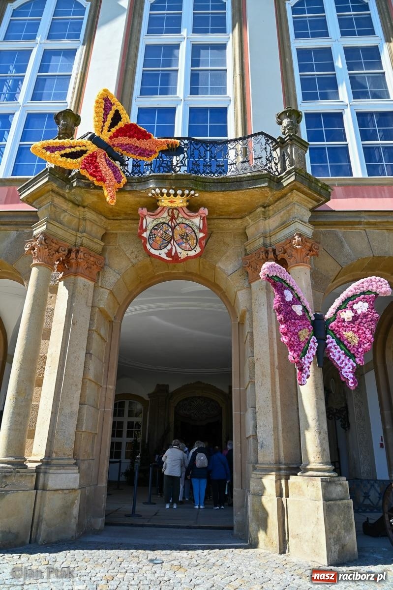 Zdjęcie w galerii na portalu naszraciborz.pl: TAURON Festiwal Kwiatów i Sztuki w Zamku Książ – Odyseja czasu wiadomości z regionu