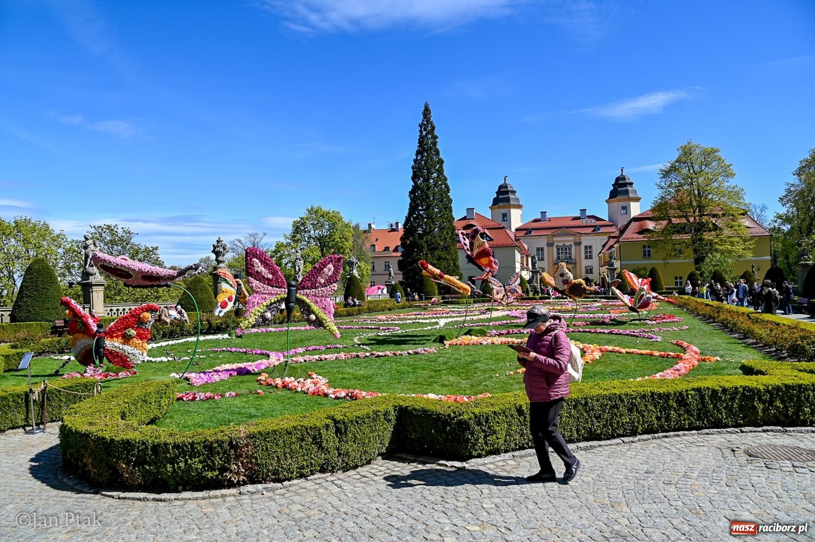 Zdjęcie w galerii na portalu naszraciborz.pl: TAURON Festiwal Kwiatów i Sztuki w Zamku Książ – Odyseja czasu wiadomości z regionu