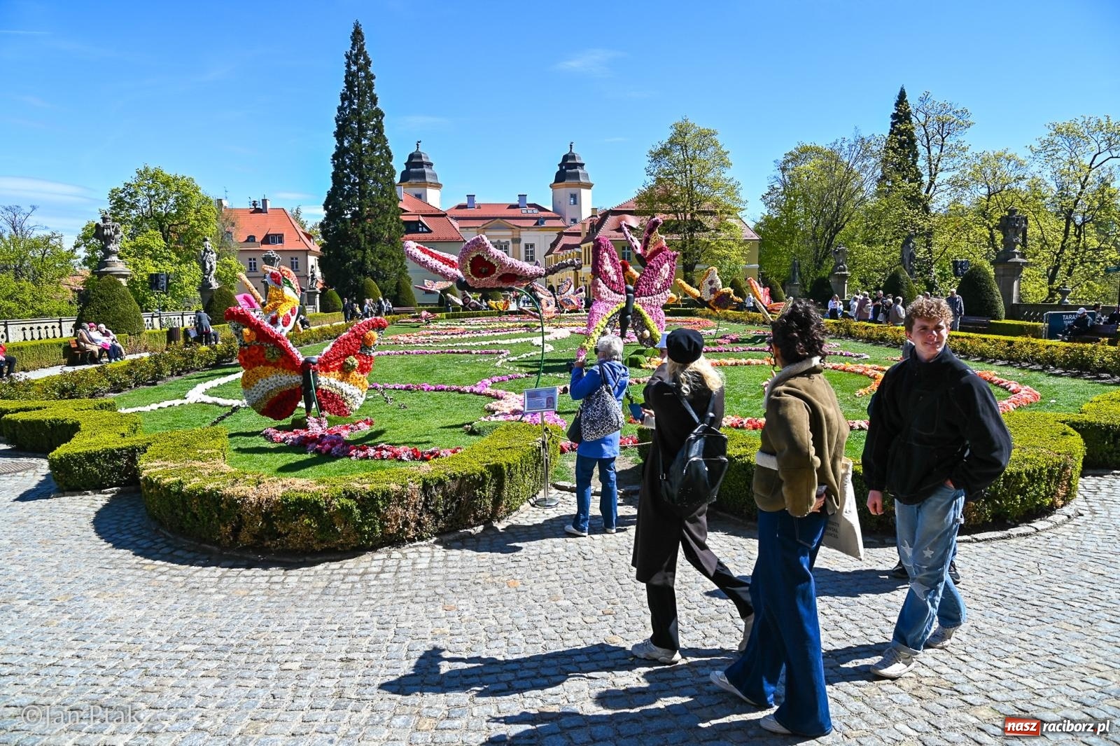 Zdjęcie w galerii na portalu naszraciborz.pl: TAURON Festiwal Kwiatów i Sztuki w Zamku Książ – Odyseja czasu wiadomości z regionu