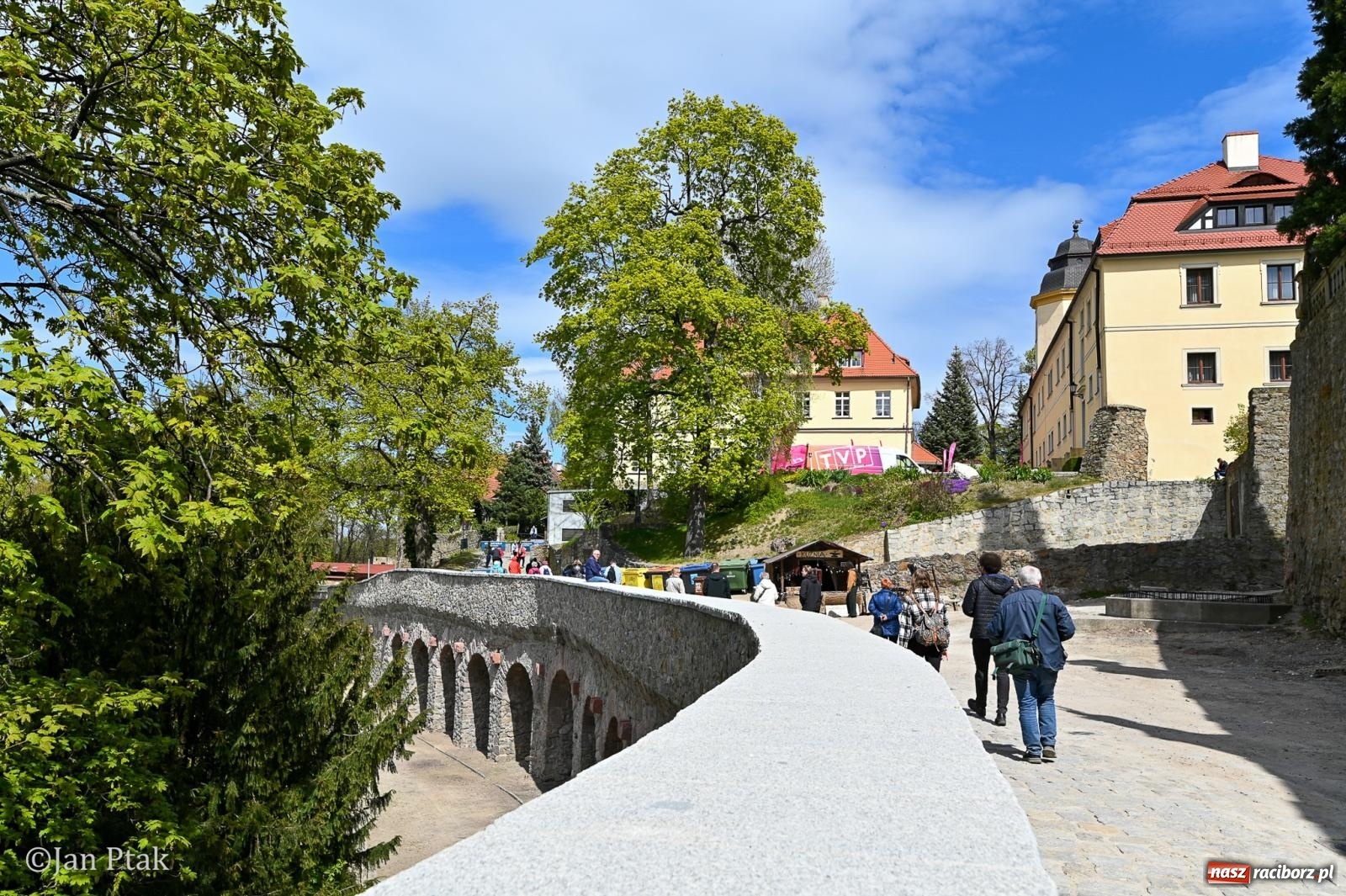 Zdjęcie w galerii na portalu naszraciborz.pl: TAURON Festiwal Kwiatów i Sztuki w Zamku Książ – Odyseja czasu wiadomości z regionu