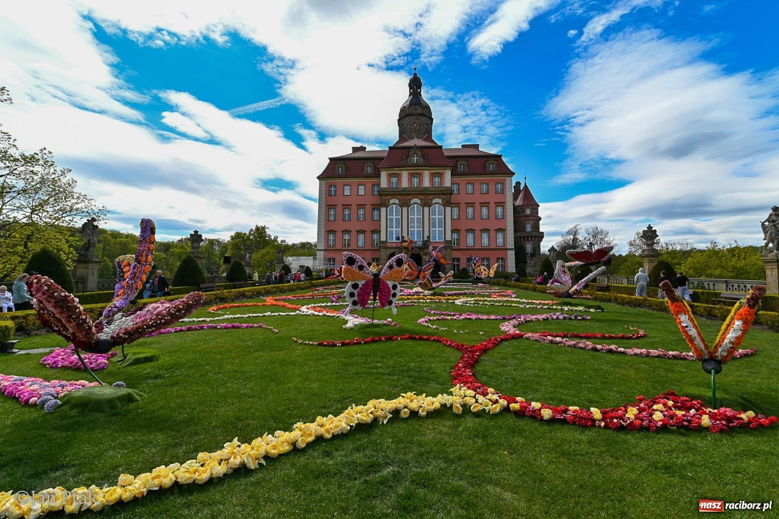 Zdjęcie w galerii na portalu naszraciborz.pl: TAURON Festiwal Kwiatów i Sztuki w Zamku Książ – Odyseja czasu wiadomości z regionu