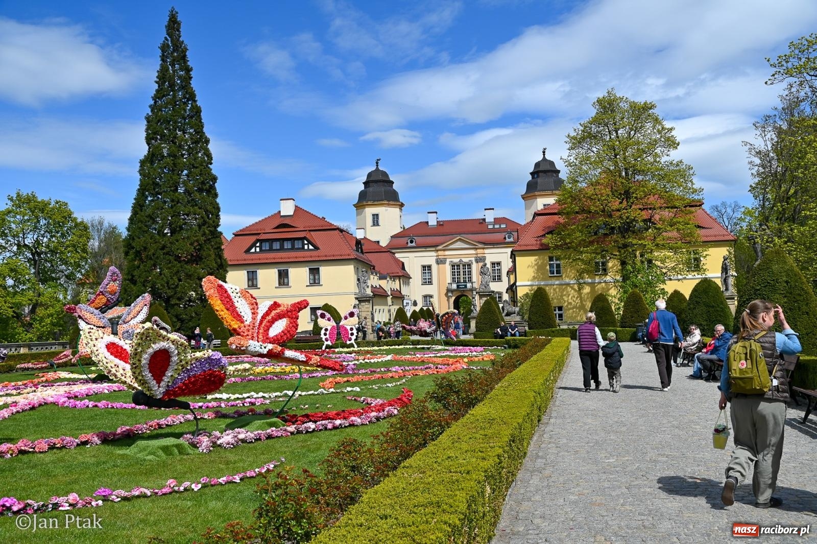 Zdjęcie w galerii na portalu naszraciborz.pl: TAURON Festiwal Kwiatów i Sztuki w Zamku Książ – Odyseja czasu wiadomości z regionu