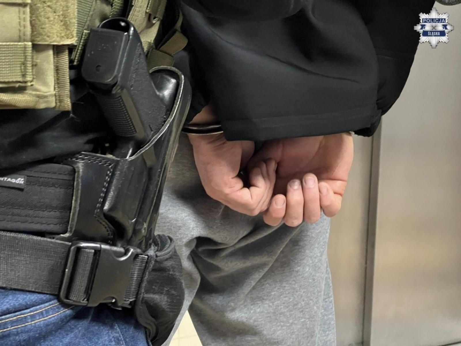 Zdjęcie w galerii na portalu naszraciborz.pl: Śląscy policjanci rozbili zorganizowaną grupę przestępczą. 7 osób zatrzymanych wiadomości z regionu
