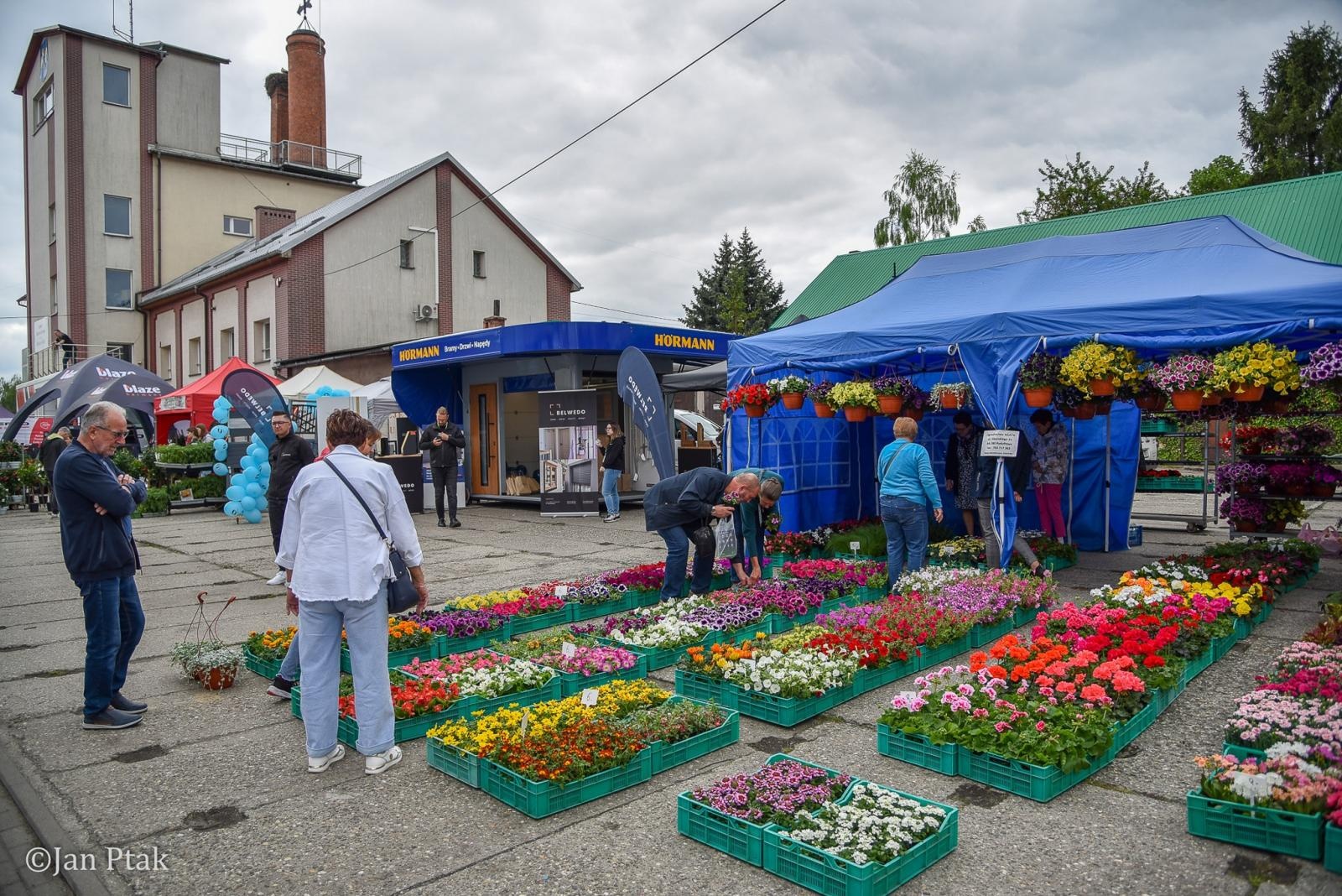 Zdjęcie w galerii na portalu naszraciborz.pl: Zielona strona mocy. Ruszyła 21. pietrowicka Eko-Wystawa [FOTO i WIDEO] wiadomości z regionu