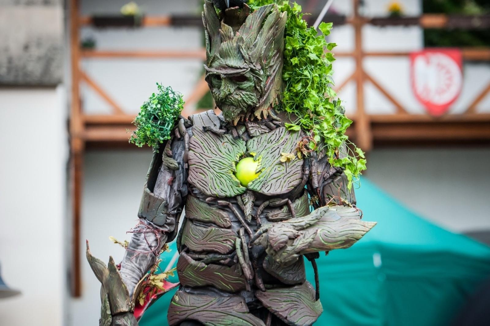Zdjęcie w galerii na portalu naszraciborz.pl: II Festiwal Średniowieczny na Zamku Piastowskim - walki rycerskie, smok i teatry ognia [FOTO i WIDEO] wiadomości z regionu