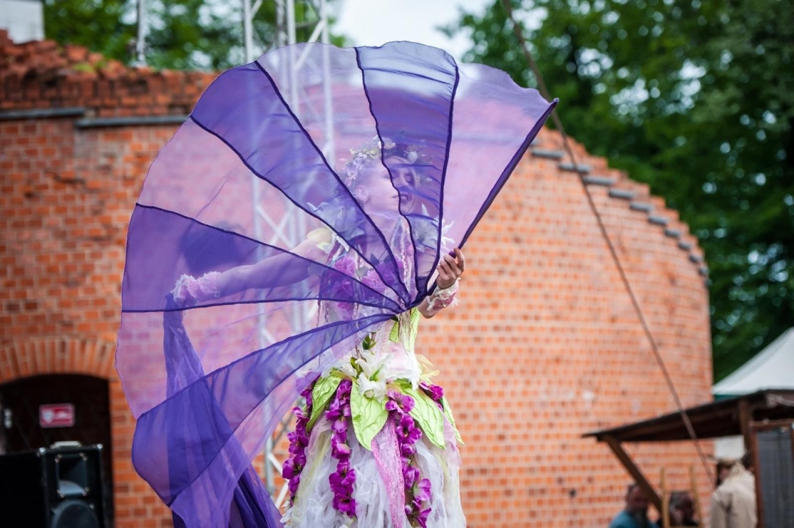 Zdjęcie w galerii na portalu naszraciborz.pl: II Festiwal Średniowieczny na Zamku Piastowskim - walki rycerskie, smok i teatry ognia [FOTO i WIDEO] wiadomości z regionu