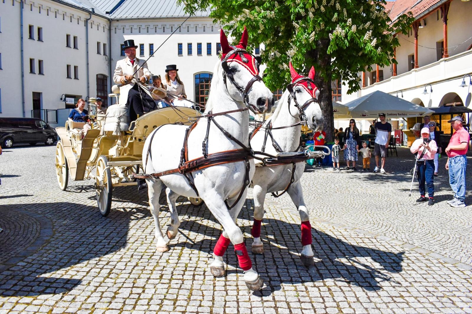 Zdjęcie w galerii na portalu naszraciborz.pl: Pierwsze przejażdżki powozem w Parku Zamkowym w Raciborzu. Nowa atrakcja Zamku Piastowskiego wiadomości z regionu