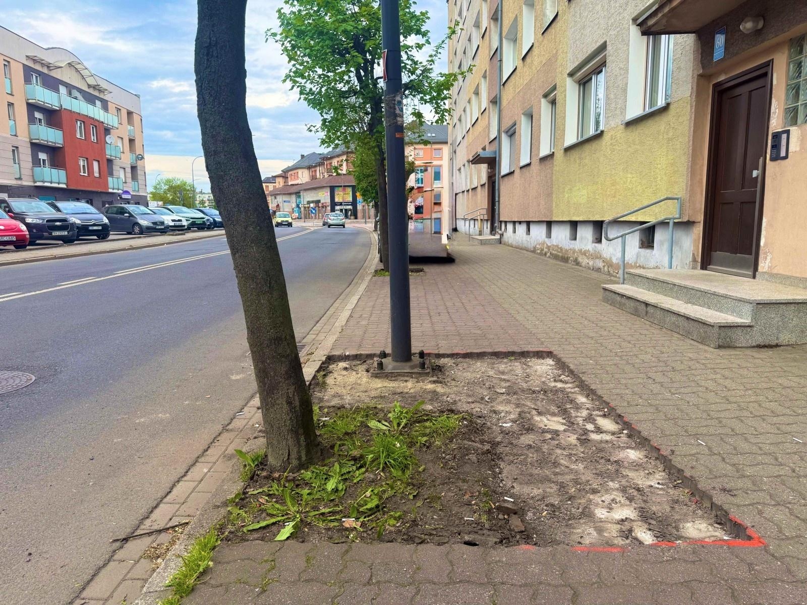 Zdjęcie w galerii na portalu naszraciborz.pl: Miasto stawia na klimat z Inpost for Cities wiadomości z regionu