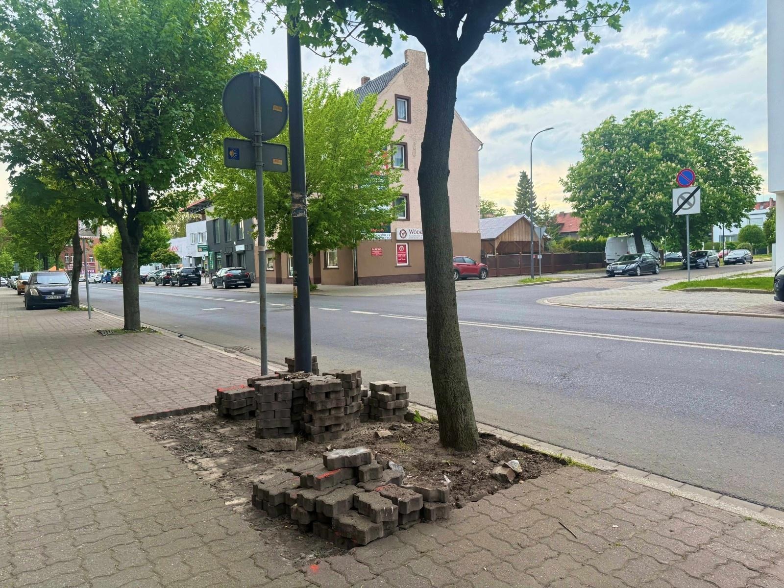 Zdjęcie w galerii na portalu naszraciborz.pl: Miasto stawia na klimat z Inpost for Cities wiadomości z regionu