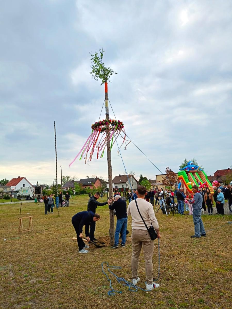 Zdjęcie w galerii na portalu naszraciborz.pl: Park Dębina zdał egzamin. Śląski Moik przyciągnął tłumy mieszkańców wiadomości z regionu