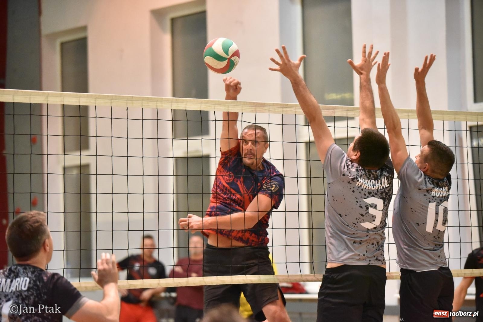 Zdjęcie w galerii na portalu naszraciborz.pl: Omerta lepsza w sezonie, Pszów lepszy w finale. Wielkie emocje w ALS Volley Amigos 35 [FOTO] wiadomości z regionu