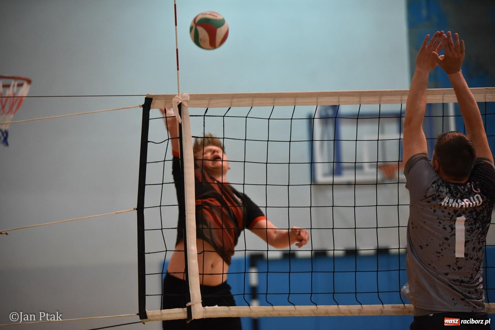Zdjęcie w galerii na portalu naszraciborz.pl: Omerta lepsza w sezonie, Pszów lepszy w finale. Wielkie emocje w ALS Volley Amigos 35 [FOTO] wiadomości z regionu