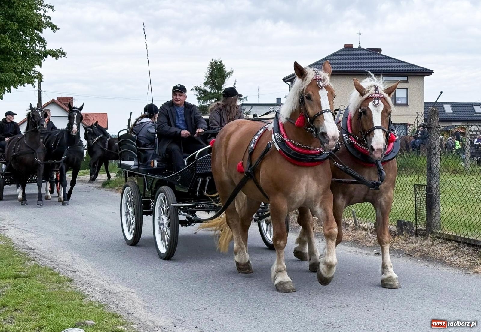 Zdjęcie w galerii na portalu naszraciborz.pl: Procesja św. Urbana w Kobyli. Tradycja, która od wieków prowadzi przez pola [FOTO i WIDEO] wiadomości z regionu