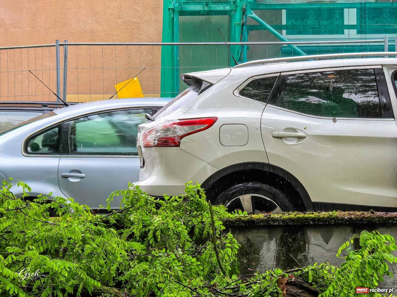Zdjęcie w galerii na portalu naszraciborz.pl: Złamane drzewo runęło na auto. Strażacy interweniowali na Sejmowej wiadomości z regionu