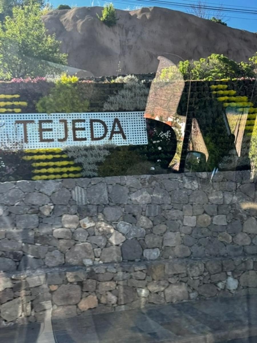 Zdjęcie w galerii na portalu naszraciborz.pl: Uczniowie SP 1 z Ostroga na Gran Canarii wiadomości z regionu