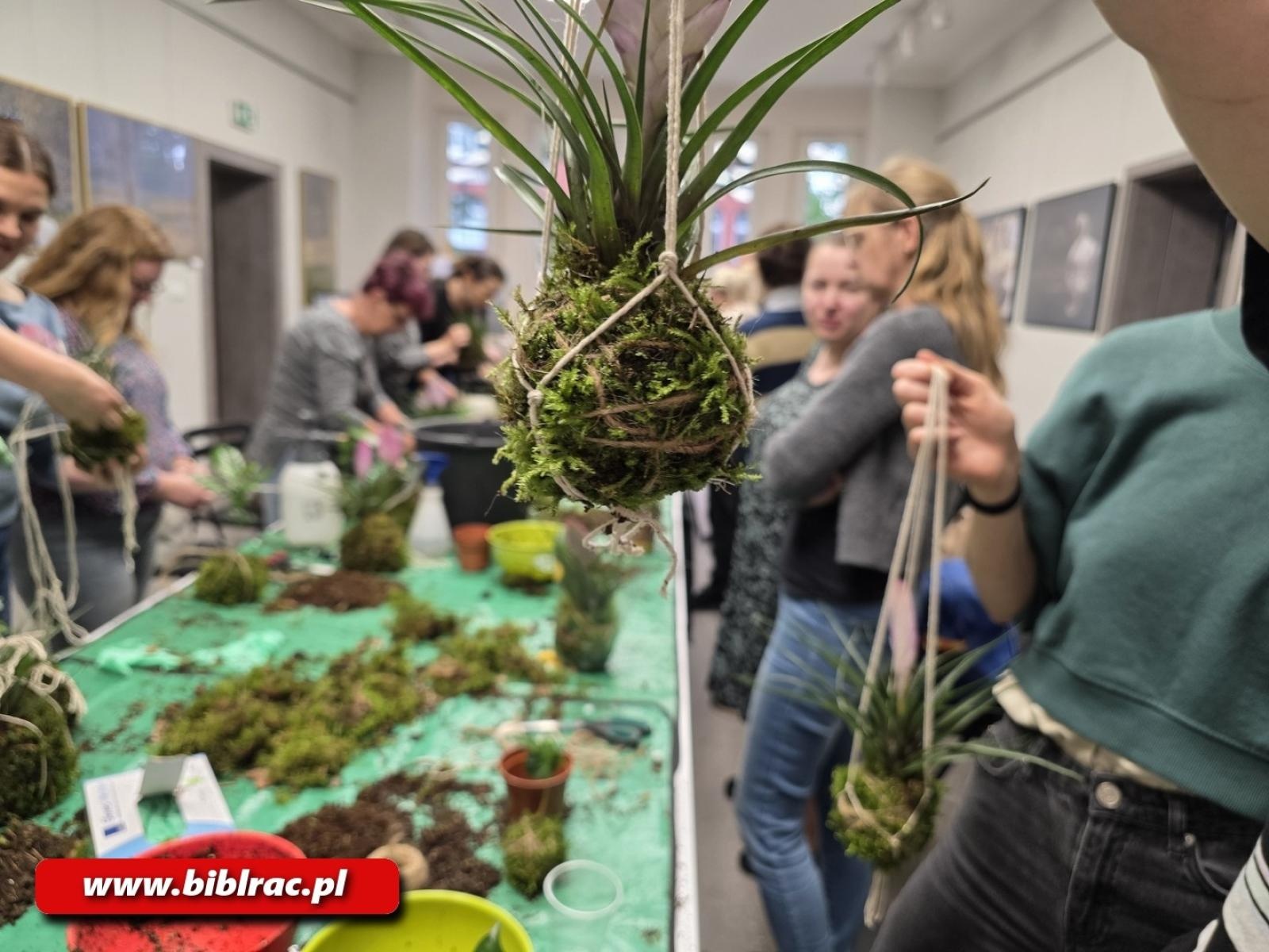 Zdjęcie w galerii na portalu naszraciborz.pl: Kokedama - warsztaty tworzenia wiszących ogrodów w bibliotece wiadomości z regionu