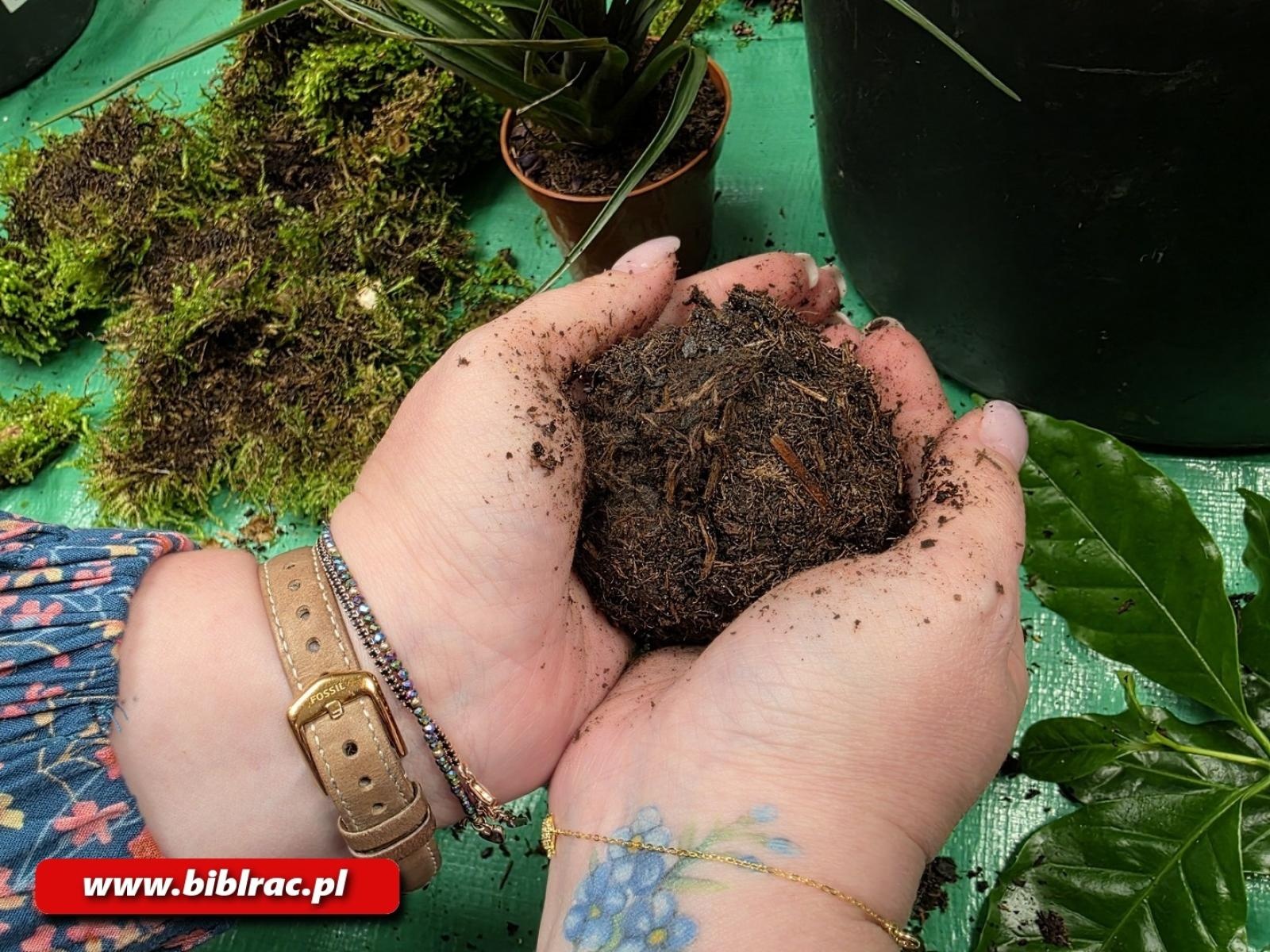 Zdjęcie w galerii na portalu naszraciborz.pl: Kokedama - warsztaty tworzenia wiszących ogrodów w bibliotece wiadomości z regionu