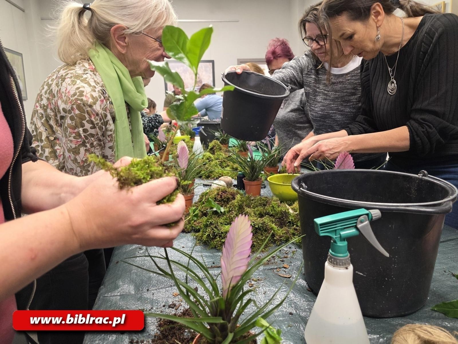 Zdjęcie w galerii na portalu naszraciborz.pl: Kokedama - warsztaty tworzenia wiszących ogrodów w bibliotece wiadomości z regionu