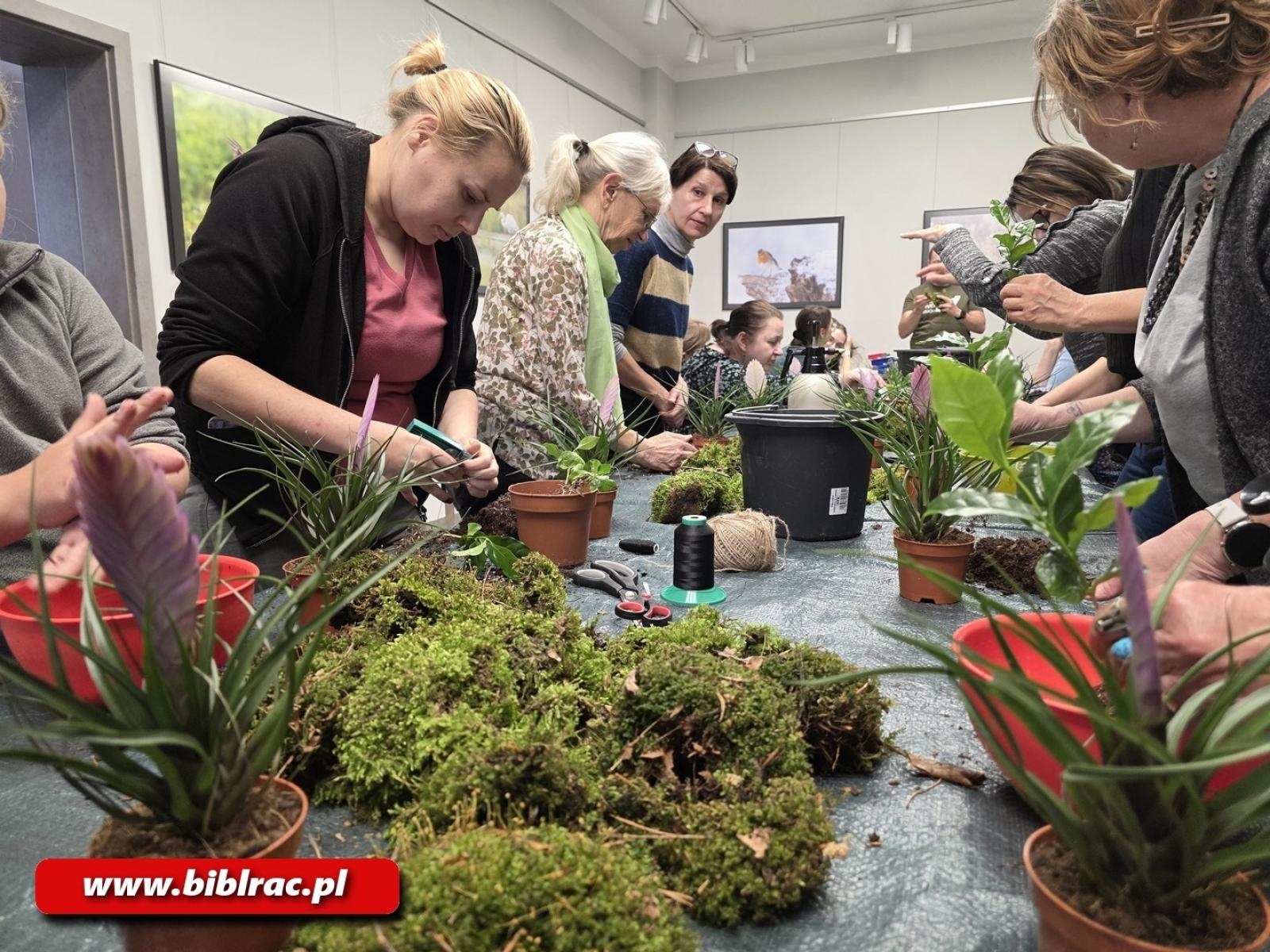 Zdjęcie w galerii na portalu naszraciborz.pl: Kokedama - warsztaty tworzenia wiszących ogrodów w bibliotece wiadomości z regionu