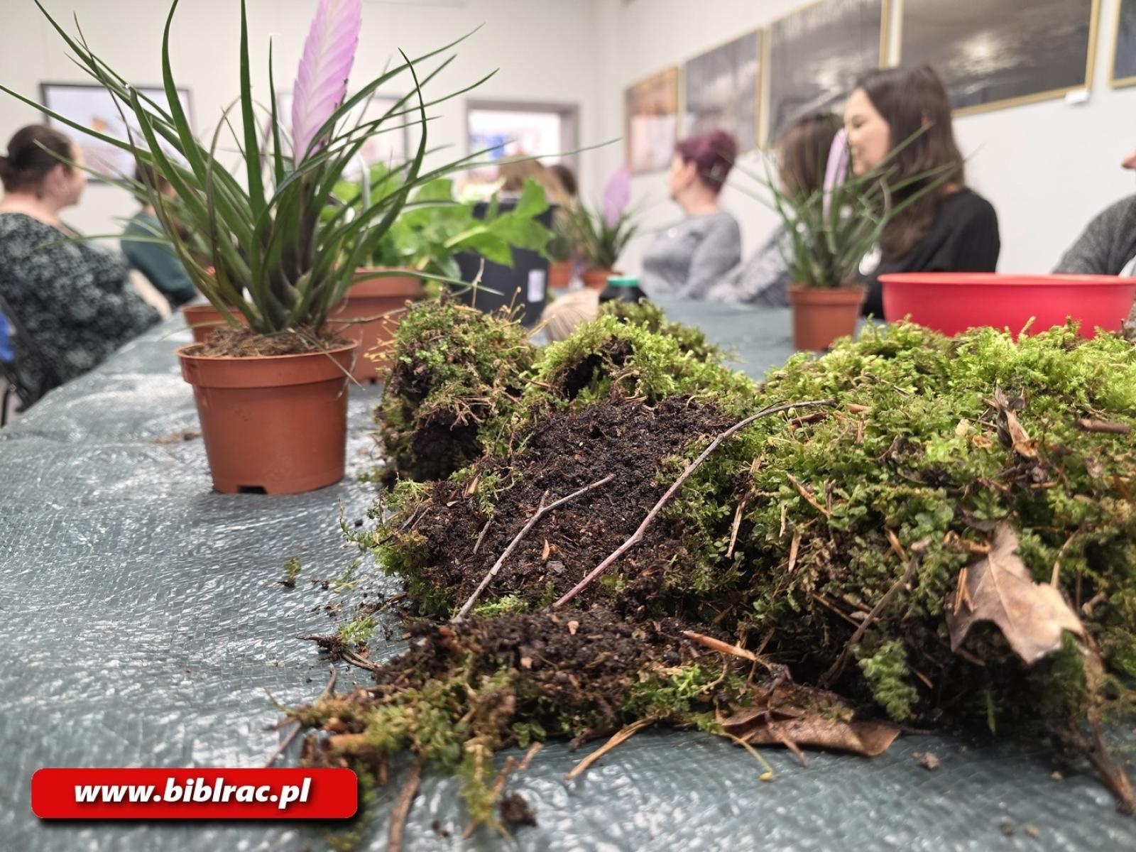 Zdjęcie w galerii na portalu naszraciborz.pl: Kokedama - warsztaty tworzenia wiszących ogrodów w bibliotece wiadomości z regionu