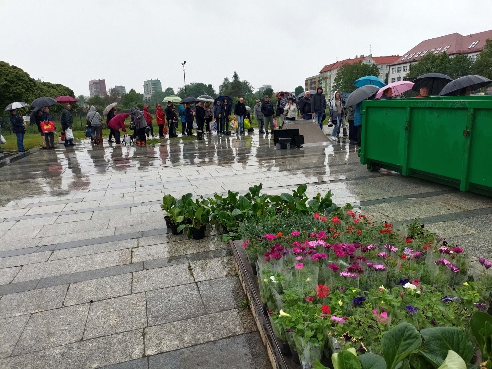 Zdjęcie w galerii na portalu naszraciborz.pl: Elektrograty za kwiaty. Zbiórka zużytego sprzętu elektrycznego i elektronicznego w Raciborzu wiadomości z regionu