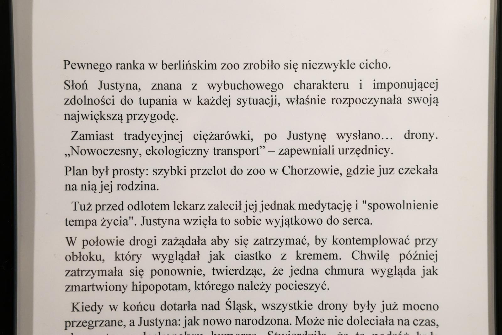 Zdjęcie w galerii na portalu naszraciborz.pl: WHIMSY TALES Pauliny Nowackiej z okazji Dnia Dziecka w galerii RCK. Wernisaż 25 maja wiadomości z regionu