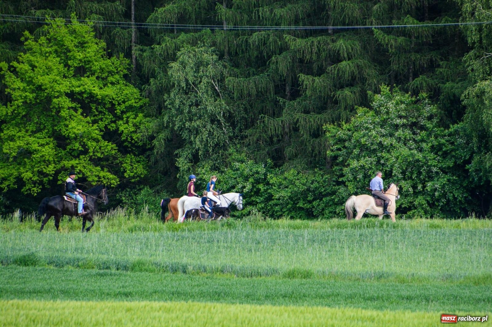 Zdjęcie w galerii na portalu naszraciborz.pl: Procesja na św. Urbana w Brzeziu – tradycja i duchowa wartość [FOTO i WIDEO] wiadomości z regionu