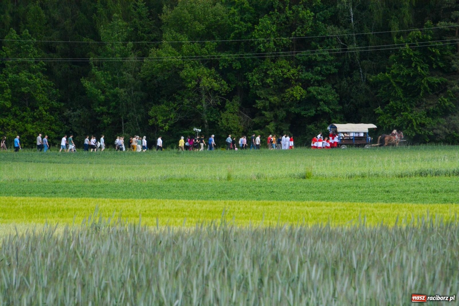 Zdjęcie w galerii na portalu naszraciborz.pl: Procesja na św. Urbana w Brzeziu – tradycja i duchowa wartość [FOTO i WIDEO] wiadomości z regionu